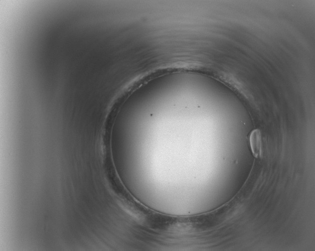 X0000069390252200605262124