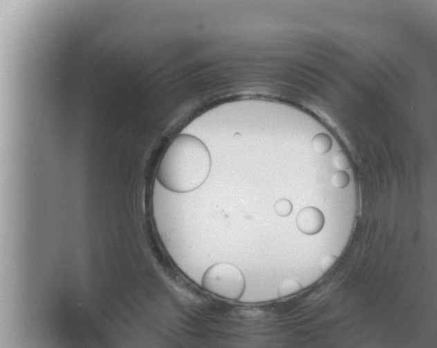 X0000069390253200605262124