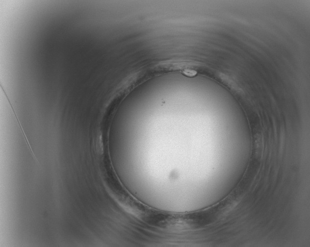 X0000069390254200605262124