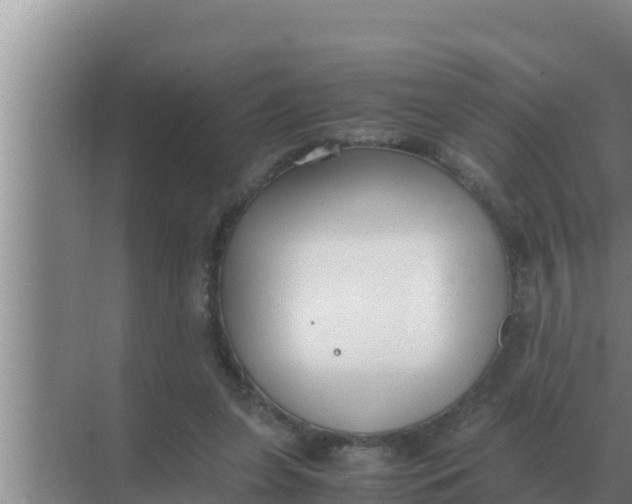 X0000069390255200605262124