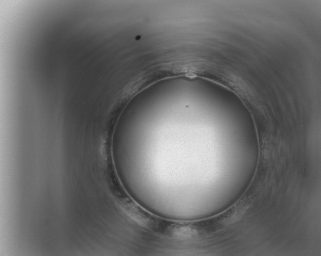 X0000069390258200605262124