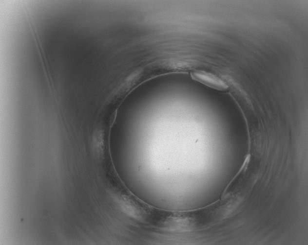 X0000069390260200605262124