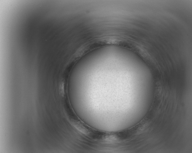 X0000069390262200605262124