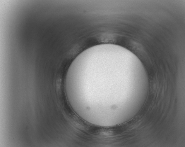 X0000069390263200605262124