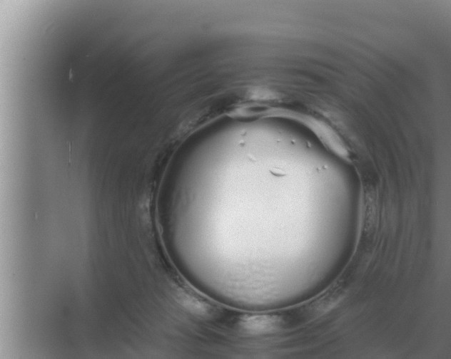 X0000069390269200605262124