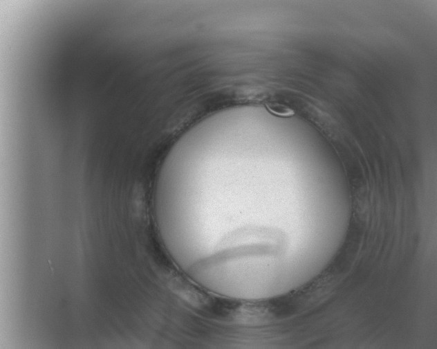 X0000069390270200605262124