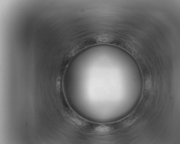 X0000069390271200605262124