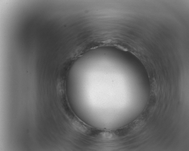 X0000069390272200605262124