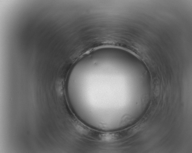 X0000069390273200605262124