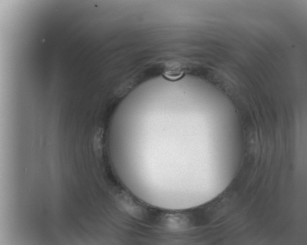 X0000069390275200605262124