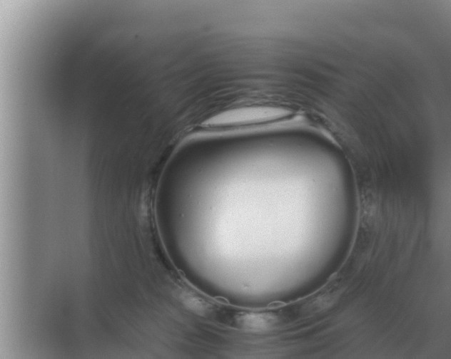 X0000069390277200605262124