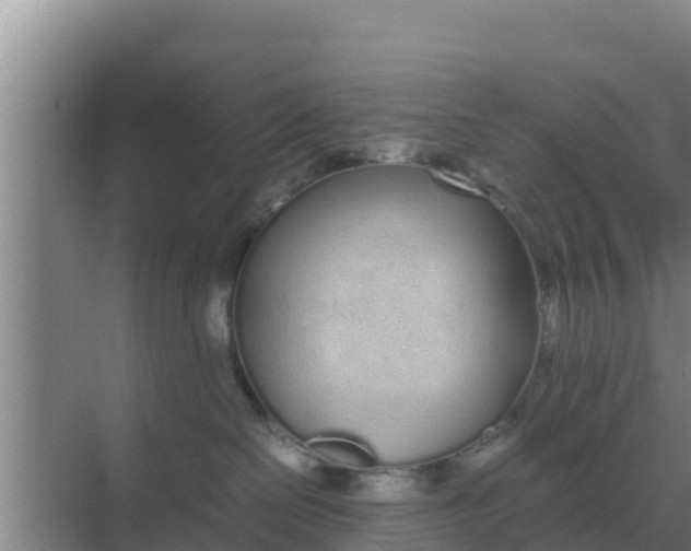 X0000069390286200605262124