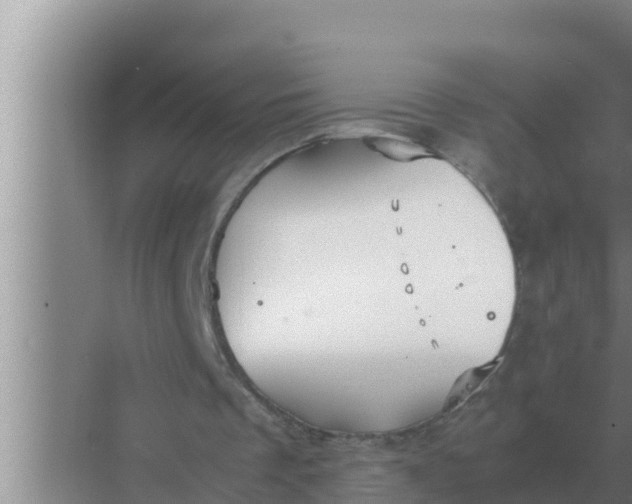 X0000069390289200605262124