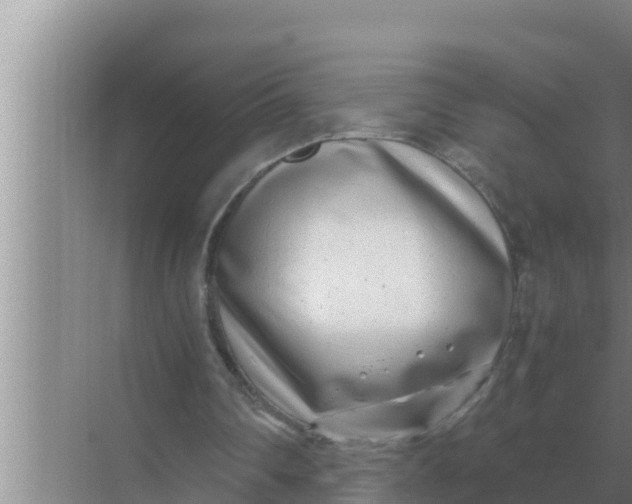 X0000069390290200605262124