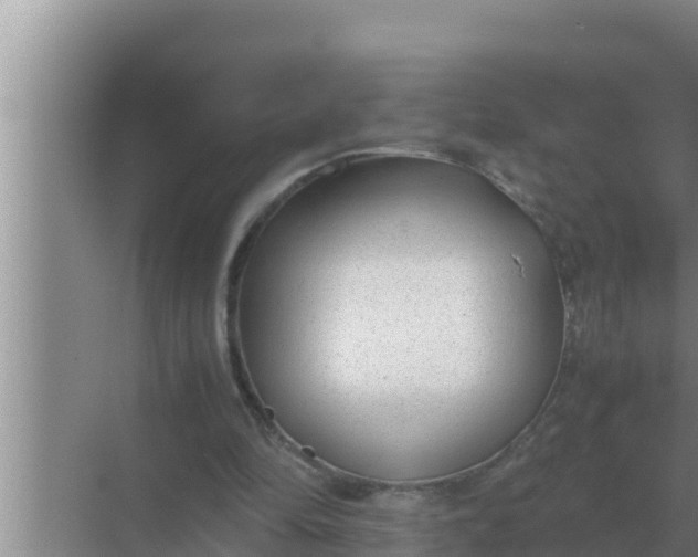 X0000069390294200605262123