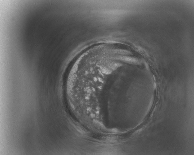 X0000069390295200605262123