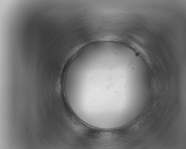 X0000069390298200605262123