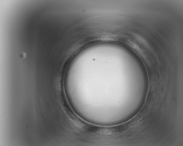 X0000069390299200605262123