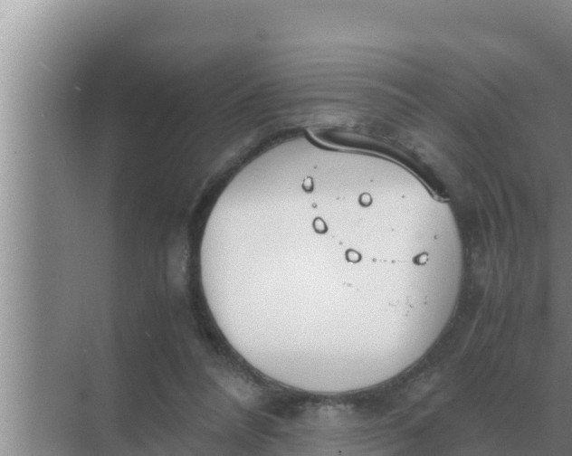 X0000069390304200605262123