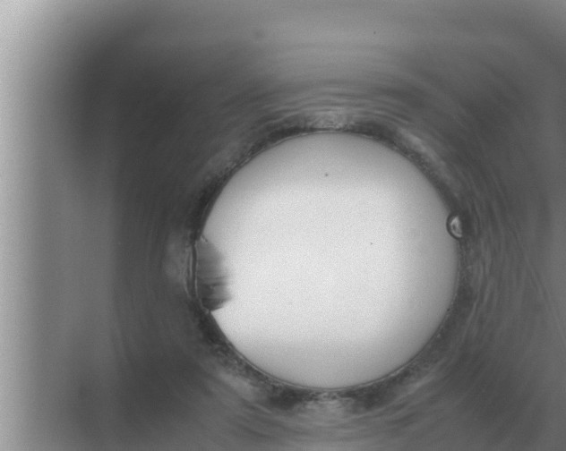 X0000069390307200605262123