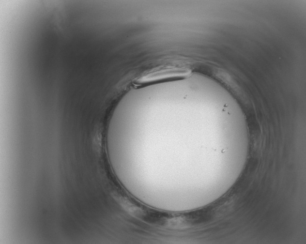 X0000069390309200605262123