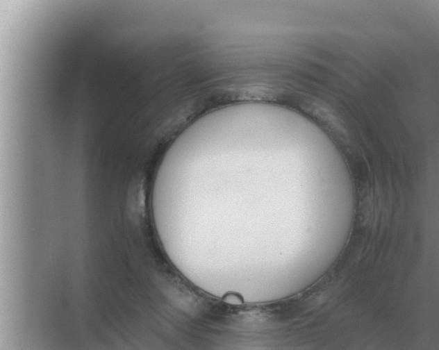 X0000069390310200605262123