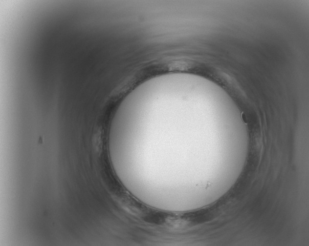 X0000069390311200605262123