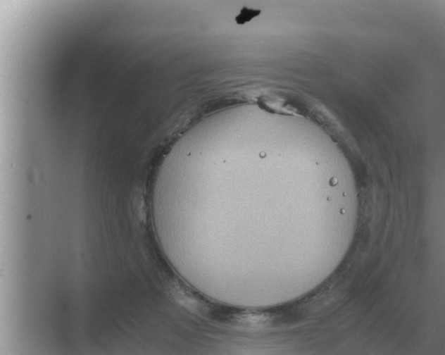 X0000069390313200605262123