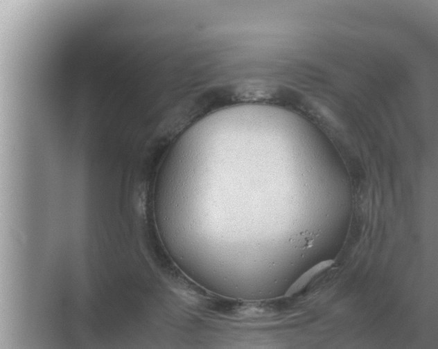 X0000069390315200605262123