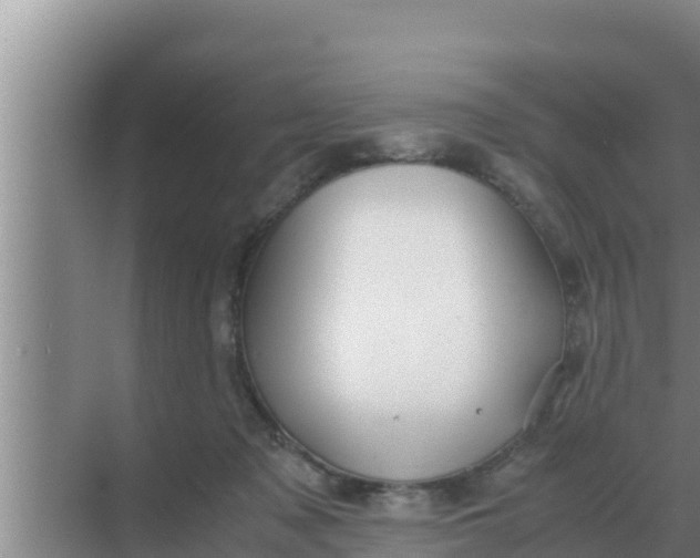 X0000069390317200605262123