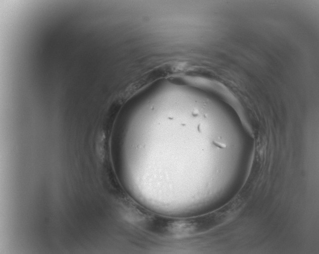 X0000069390319200605262123