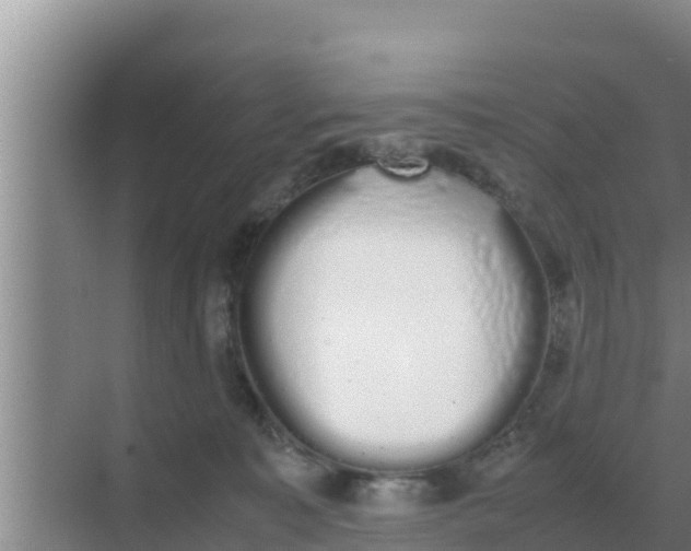 X0000069390323200605262123