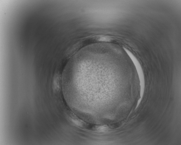 X0000069390325200605262123