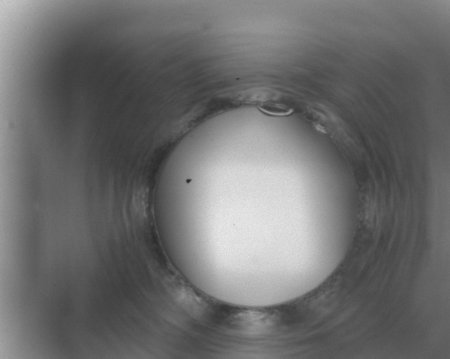 X0000069390326200605262123