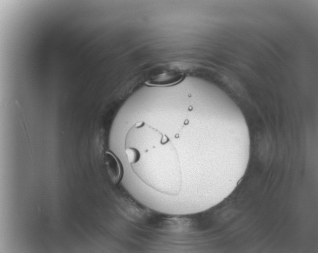 X0000069390328200605262123