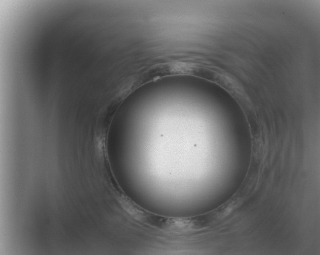 X0000069390329200605262123