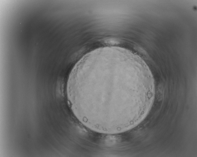 X0000069390330200605262123