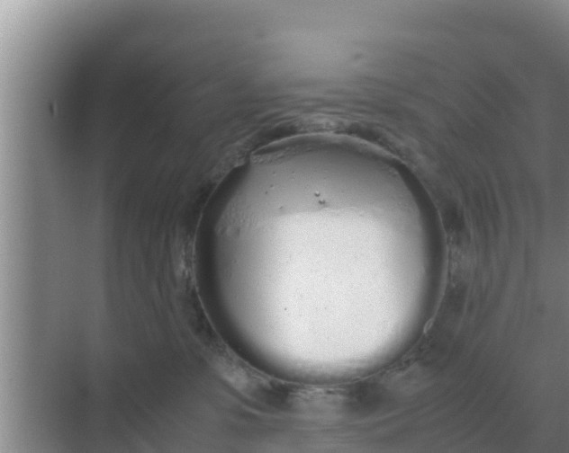 X0000069390331200605262123