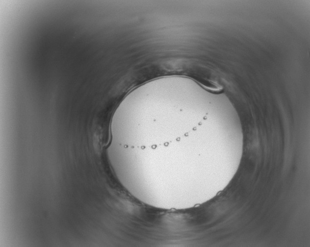 X0000069390332200605262123