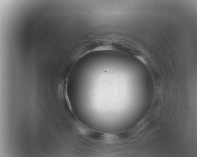 X0000069390333200605262123