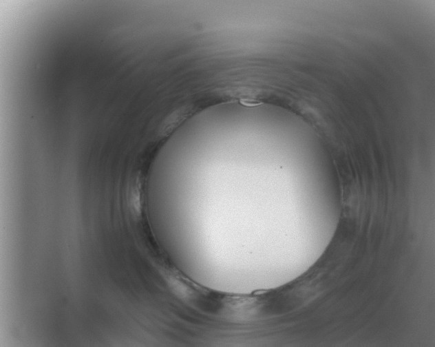 X0000069390334200605262123