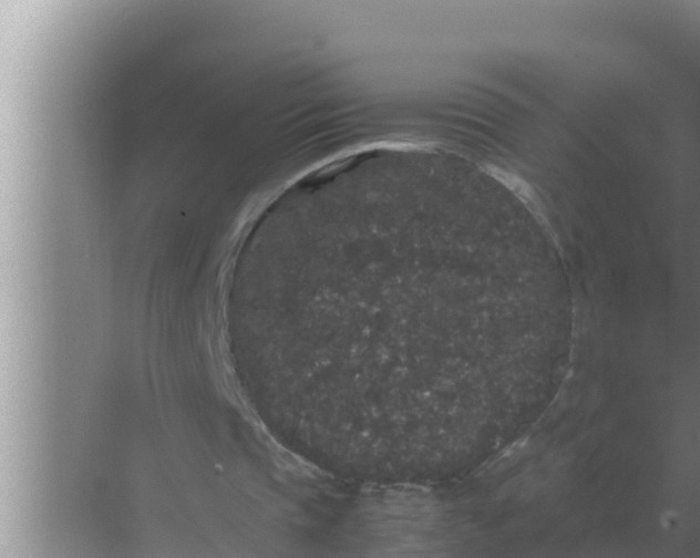 X0000069390337200605262122