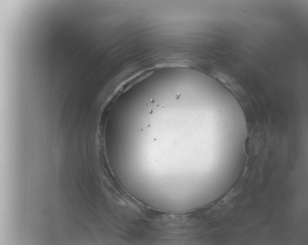 X0000069390338200605262122