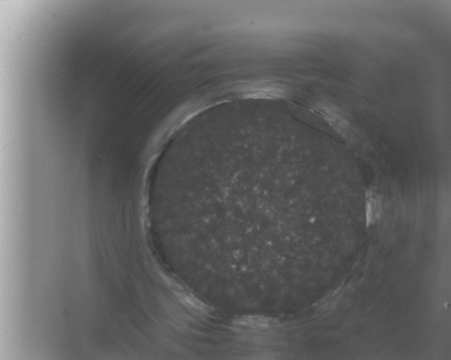 X0000069390339200605262122