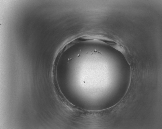 X0000069390340200605262122