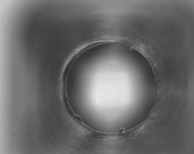 X0000069390342200605262122