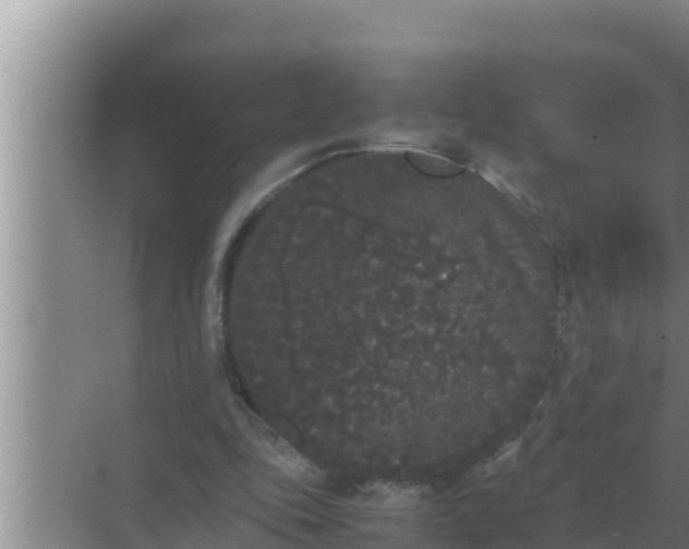 X0000069390343200605262122