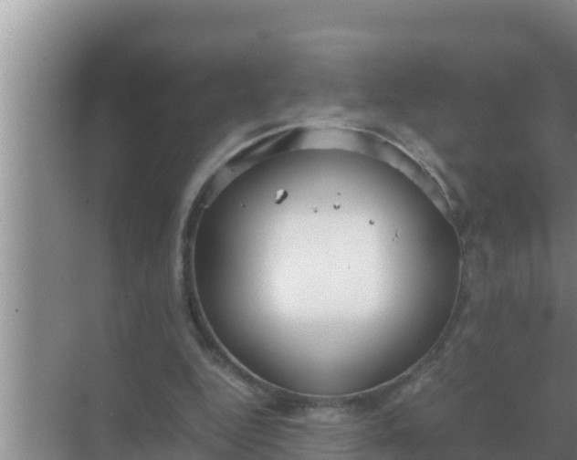 X0000069390344200605262122