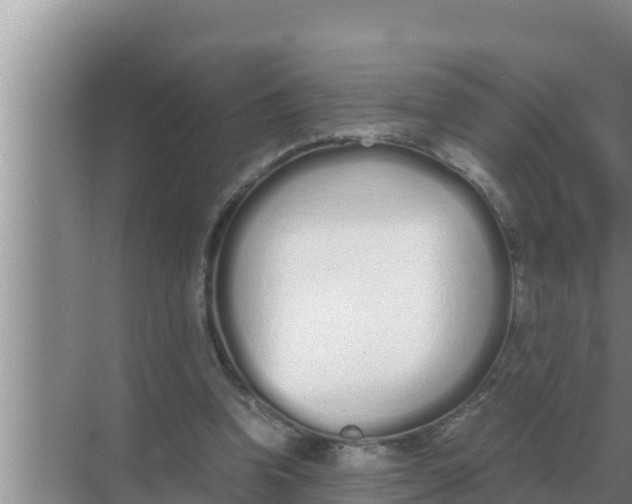 X0000069390346200605262122