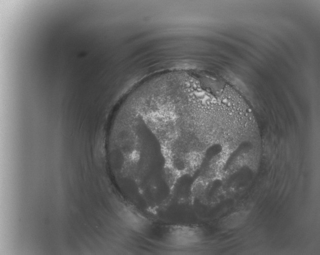 X0000069390347200605262122